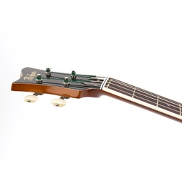 Violin Bass - 500/1 (LH)-6