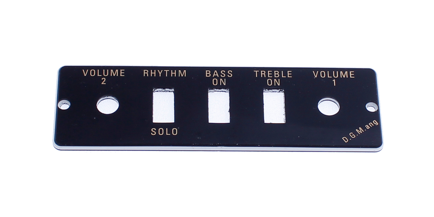 Guitar/Bass Control Panel Plate HA2B-B-1