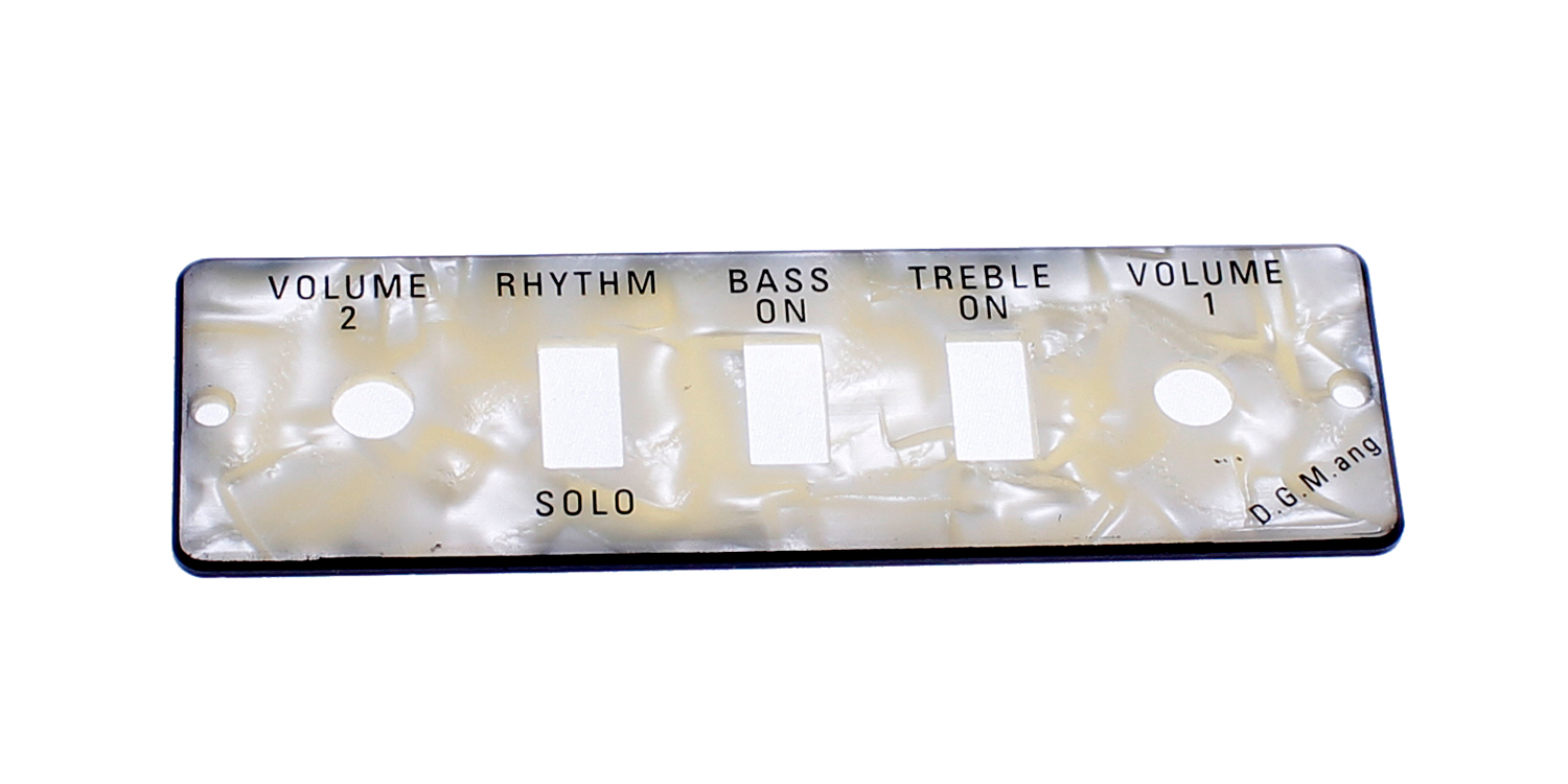 Guitar/Bass Control Panel Plate HA2B-P-1