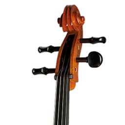 Paesold Cello PA600-3