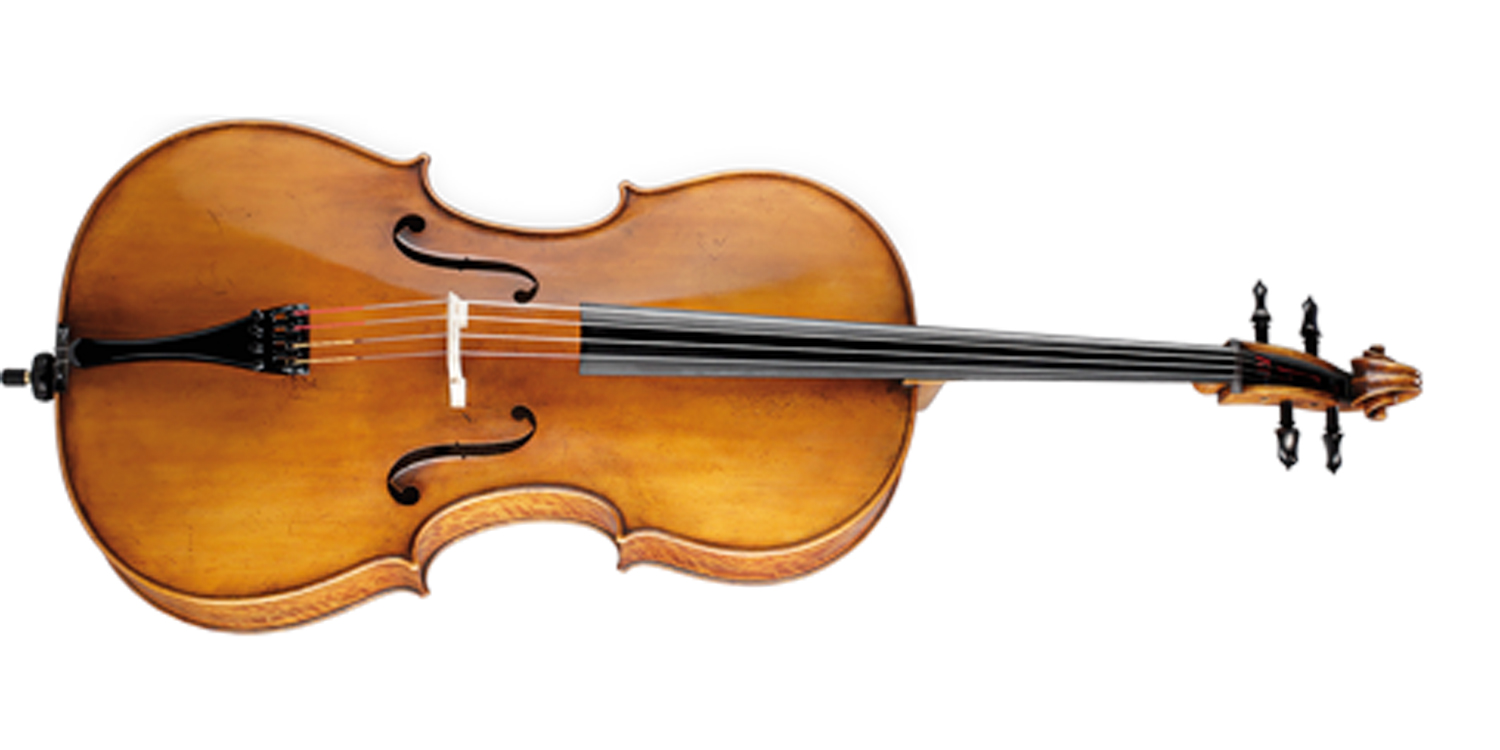 Paesold Cello PA621-1