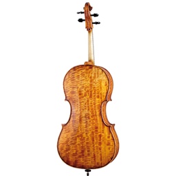 Paesold Cello PA621-2