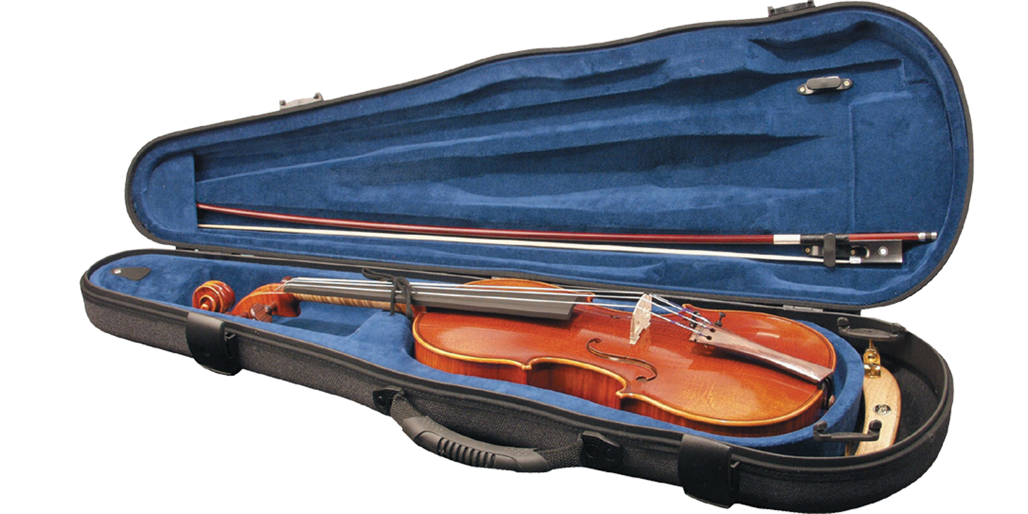 Paesold Violin Outfit PA803E-1