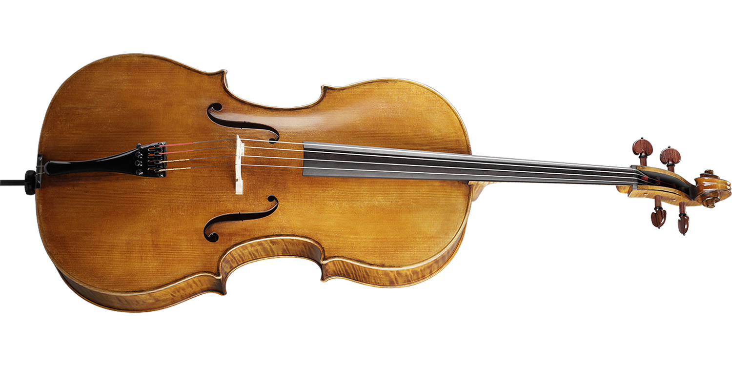 Paesold Cello PA605
