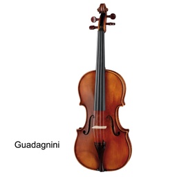 Paesold Violin Outfit PA805  Series