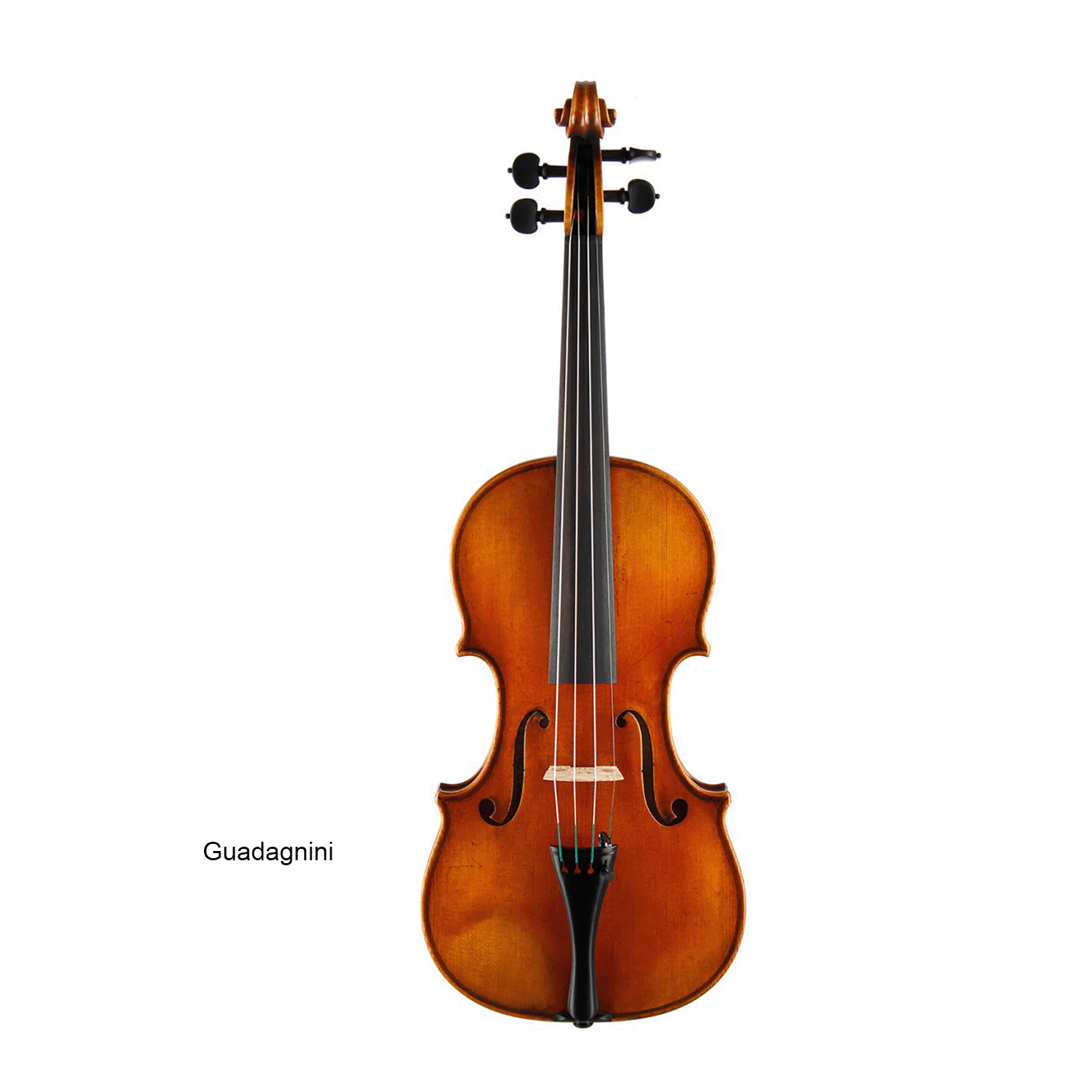 Violin Outfit - H225 Karl Hofner Series